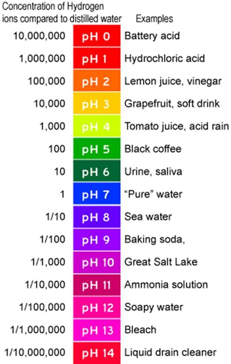 what is the ph of water